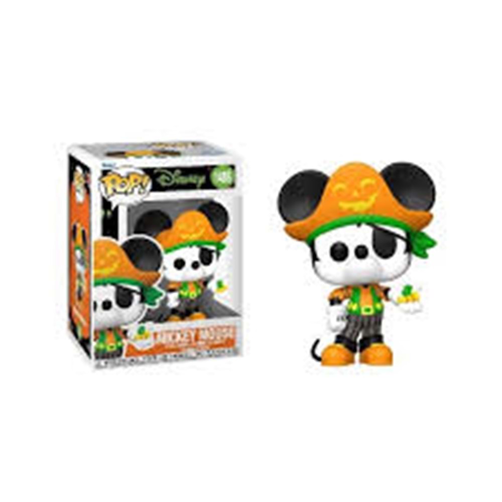 Pirate Mickey