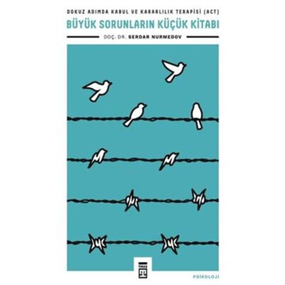 Büyük Sorunların Küçük Kitabı - Serdar Nurmedov - Timaş Yayınları