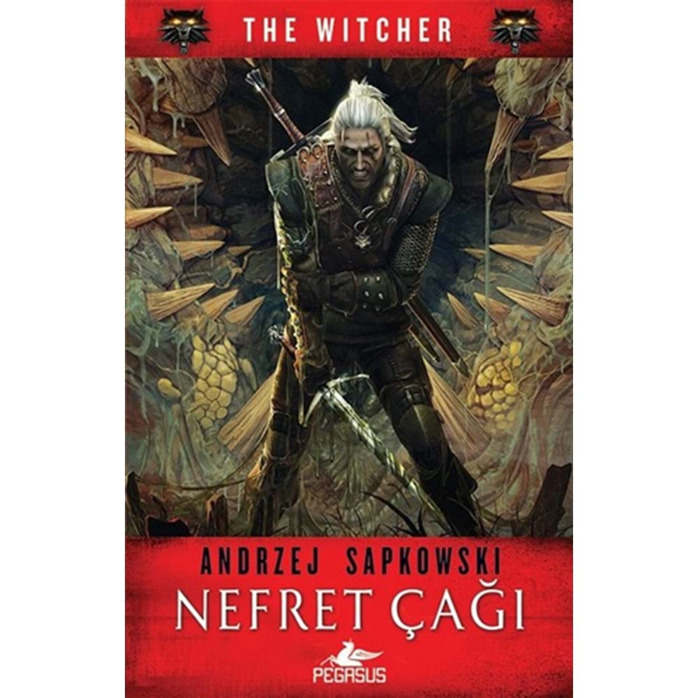 Nefret Çağı The Witcher Serisi 4 - Andrzej Sapkowski - Pegasus