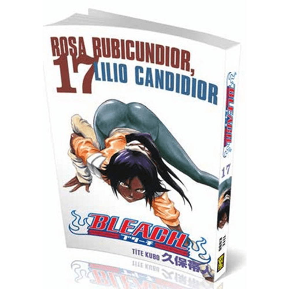 Bleach 17. Cilt - Tite Kubo - Gerekli Şeyler Yayıncılık