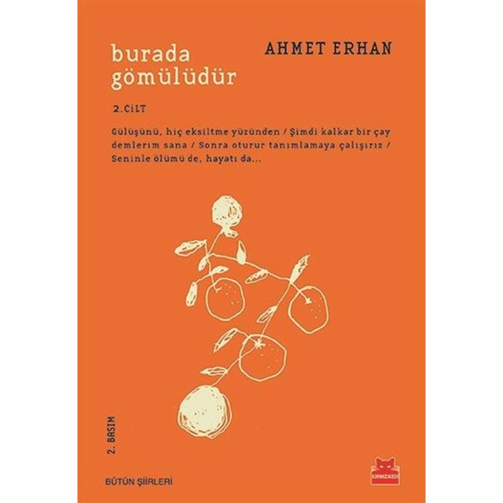 Burada Gömülüdür 2. Cilt - Ahmet Erhan - Kırmızı Kedi