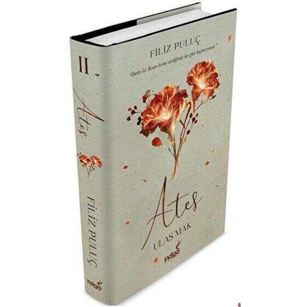 Ateş Ulaş'mak - Filiz Puluç - İndigo Kitap