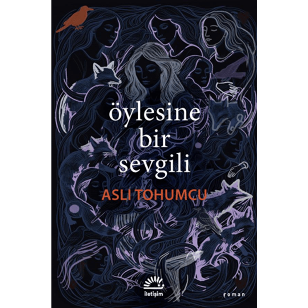 Öylesine Bir Sevgili - Aslı Tohumcu - İletişim Yayınevi