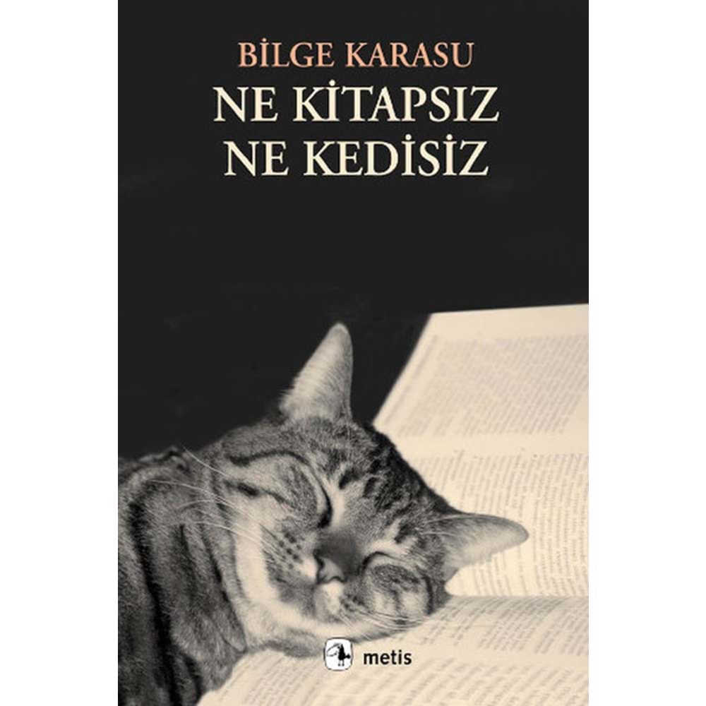 Ne Kitapsız Ne Kedisiz - Bilge Karasu - Metis Yay.