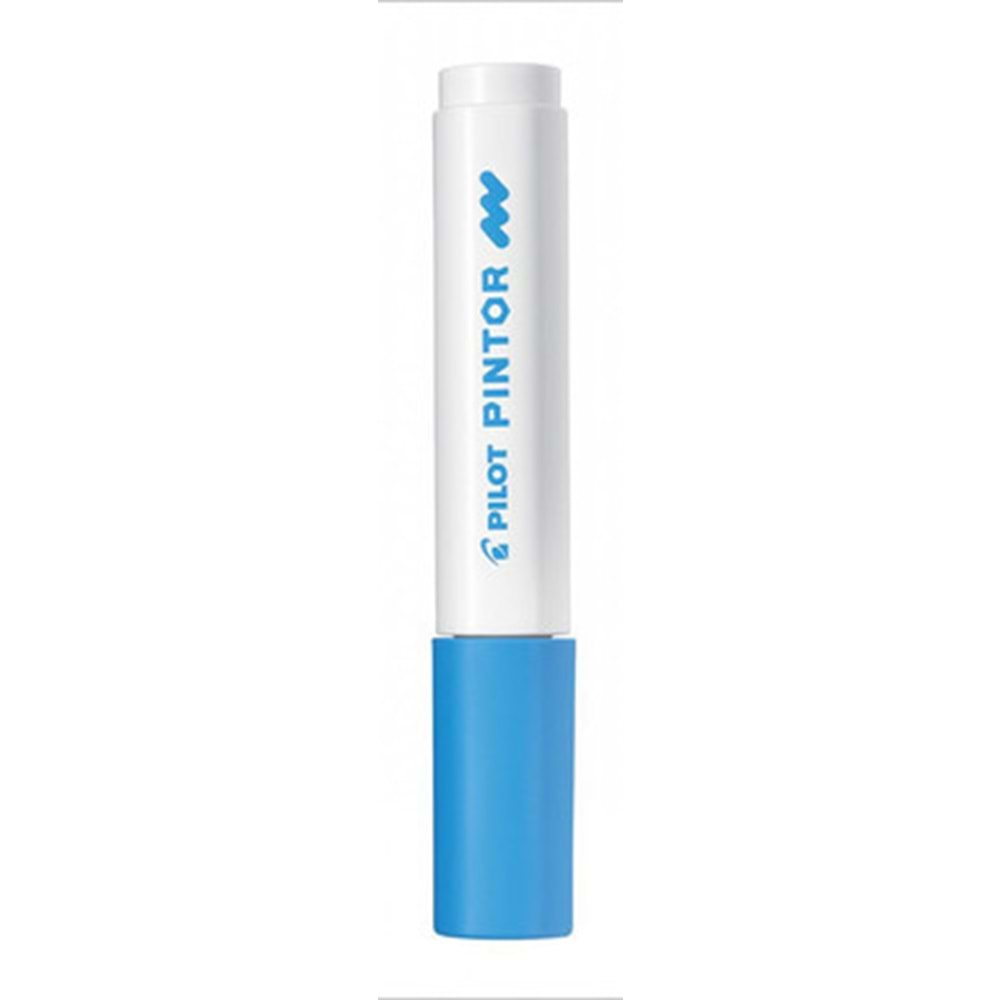 Pilot Pintor Marker Kalem Mavi