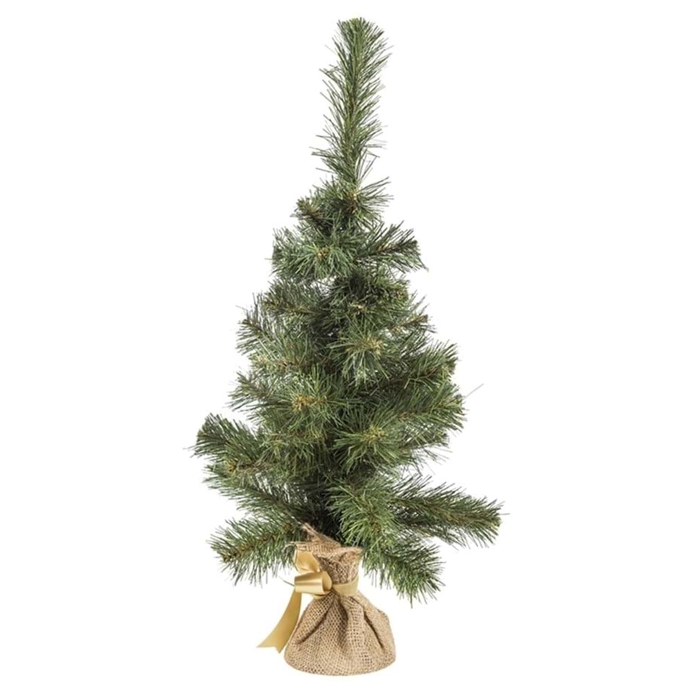 60 Cm Çulhalı Çam Ağacı