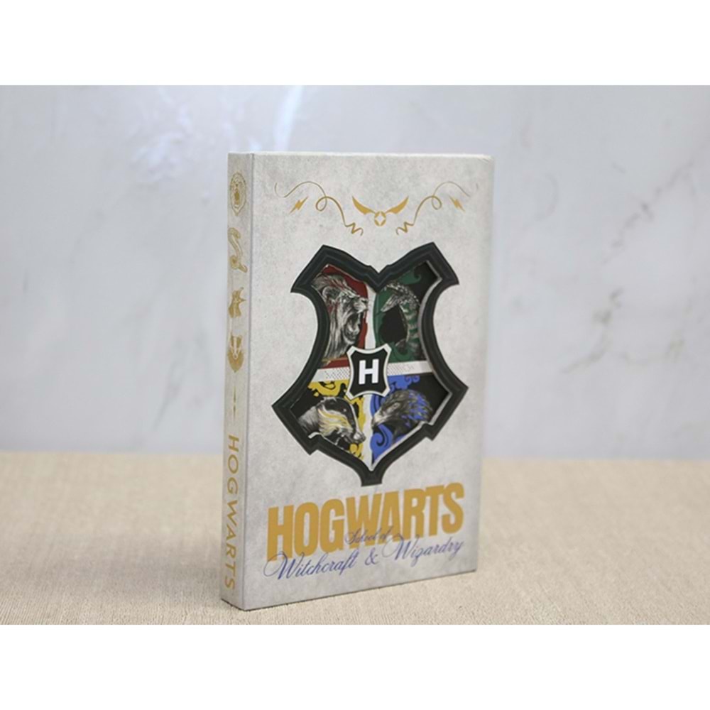 Keskin Hediyelik Harry Potter Deri Defter Alk3946