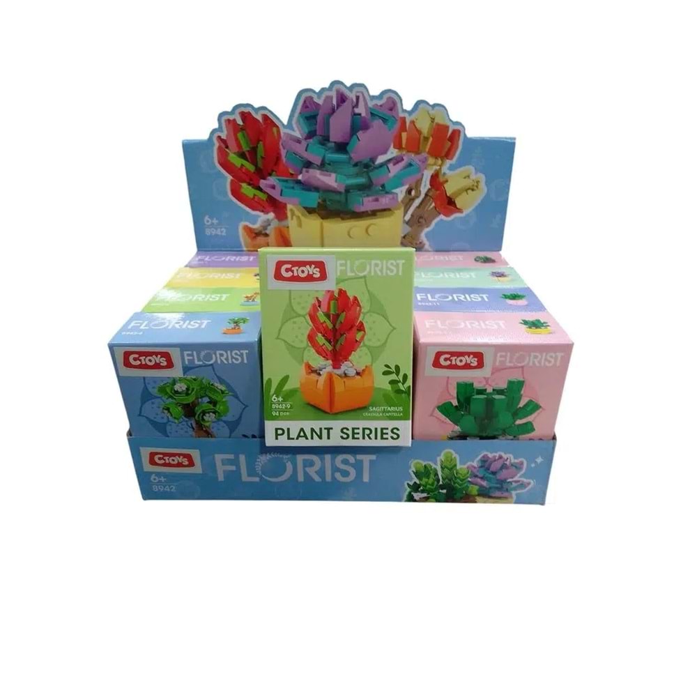 CToys Çiçek Bloklar