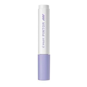 Pilot Pintor Marker Kalem Pastel Mor