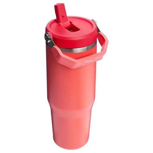 Stanley The IceFlow Flip Straw Pipetli Çelik Termos Bardak 0.89 ML