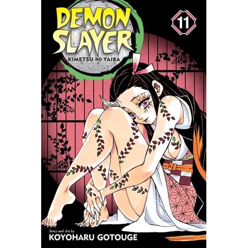 Demon Slayer: Kimetsu no Yaiba 11 Viz Media