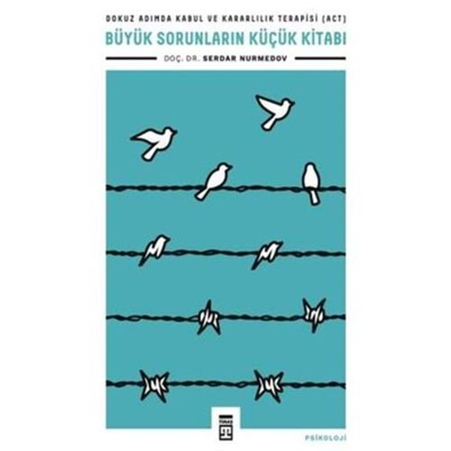 Büyük Sorunların Küçük Kitabı - Serdar Nurmedov - Timaş Yayınları
