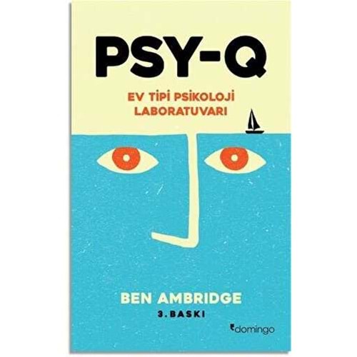 PSY Q Ev Tipi Psikoloji Laboratuvarı - Ben Ambridge - Domingo Yayınevi