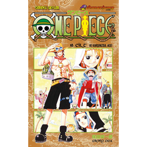 One Piece 18. Cilt İşte Karşınızda Ace - Eiiçiro Oda - Gerekli Şeyler