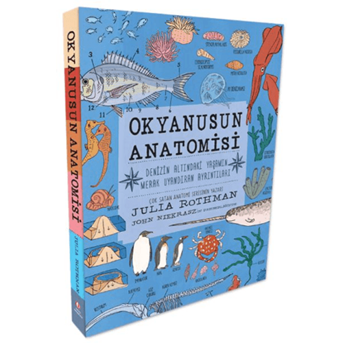 Okyanusun Anatomisi - Julia Rothman - Odtü
