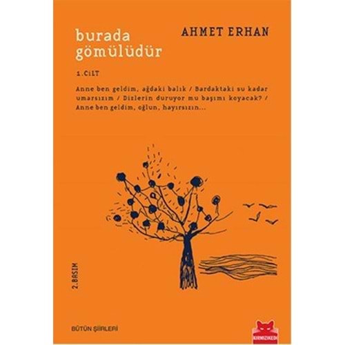 Burada Gömülüdür 1. Cilt - Ahmet Erhan - Kırmızı Kedi