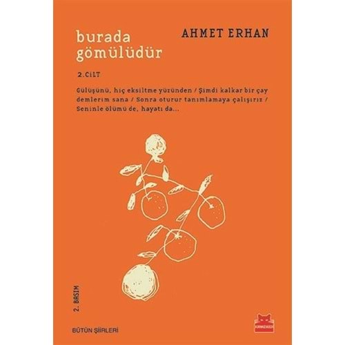 Burada Gömülüdür 2. Cilt - Ahmet Erhan - Kırmızı Kedi