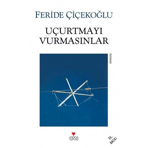 Uçurtmayı Vurmasınlar - Feride Çiçekoğlu - Can Yayınları