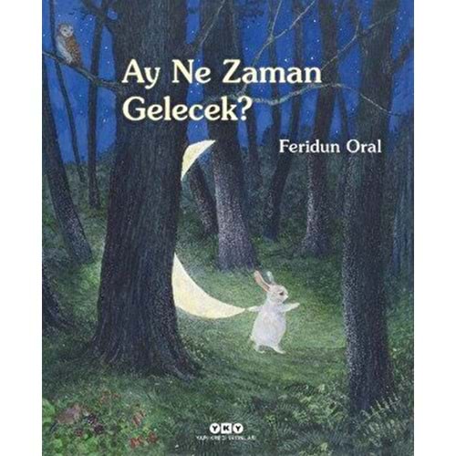 Ay Ne Zaman Gelecek - Feridun Oral - Yapı Kredi Yayınları