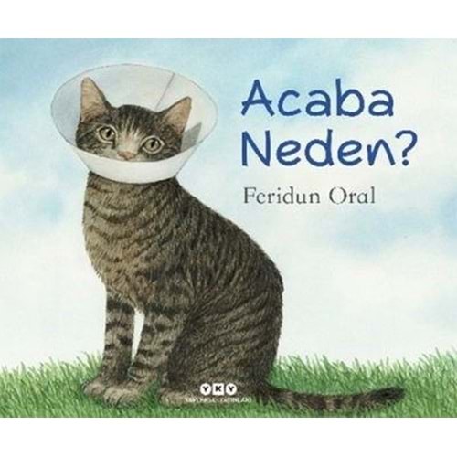 Acaba Neden? - Feridun Oral - Yapı Kredi Yayınları