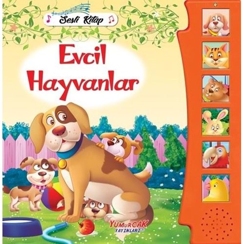 Evcil Hayvanlar - Sesli Kitap - Kolektif - Yumurcak Yayınları