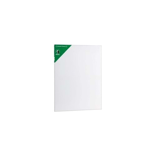 Maries Canvas Profesyonel Tuval 25 x 35 cm