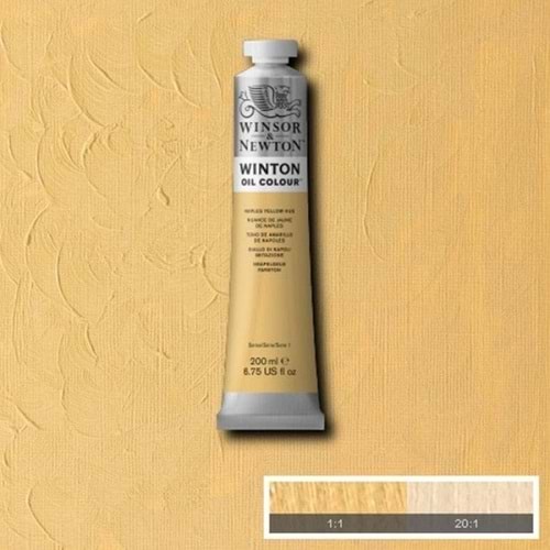 Winsor & Newton Winton Yağlı Boya 200Ml (29) Naples Yellow 422