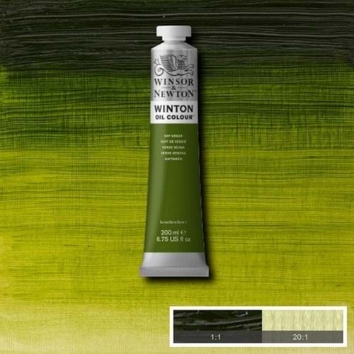 Winsor & Newton Winton Yağlı Boya 200Ml (37) Sap Green 599
