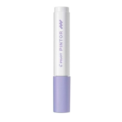 Pilot Pintor Marker Kalem Pastel Mor