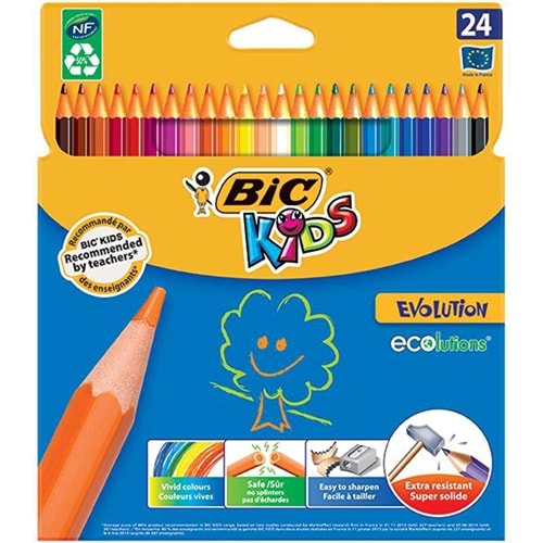 Bic Kids Evolution Kuru boya 24 Renk