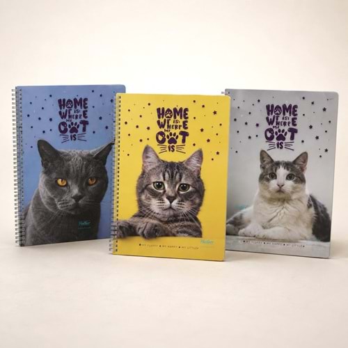 Gıpta Cat Book PP Kapak Spiralli A4 80 Yaprak Kareli Defter Kedi Desenli 3-7280000-2011
