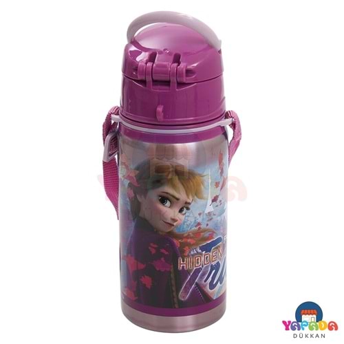 Frocx Disney Frozen Hidden Truth Salto OTTO-42072 500 ml Pipetli Çelik Matara