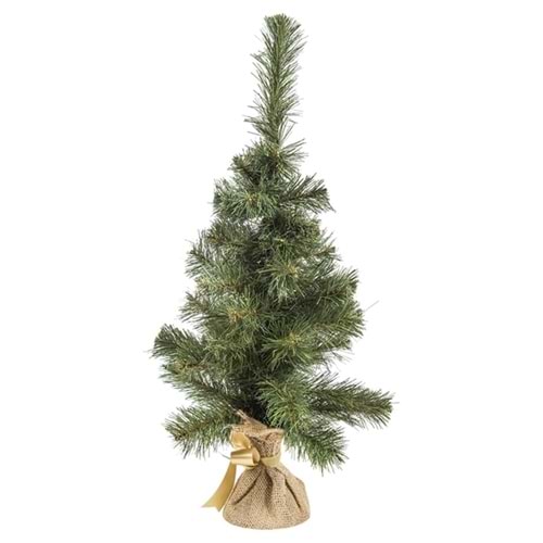 60 Cm Çulhalı Çam Ağacı
