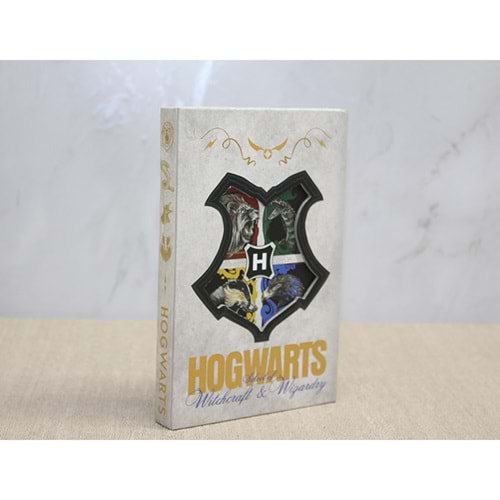 Keskin Hediyelik Harry Potter Deri Defter Alk3946
