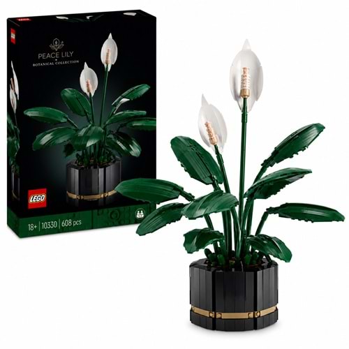 LEGO Botanicals Barış Çiçeği (11504)
