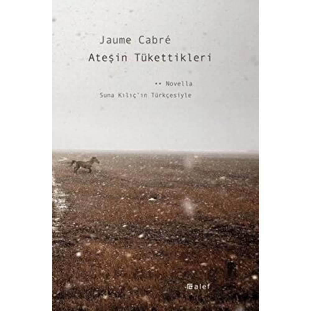 Ateşin Tükettikleri -Jaume Cabre - Alef Yay.