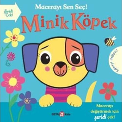 Minik Köpek Macerayı Sen Seç- Holly Hall - Beta Kids
