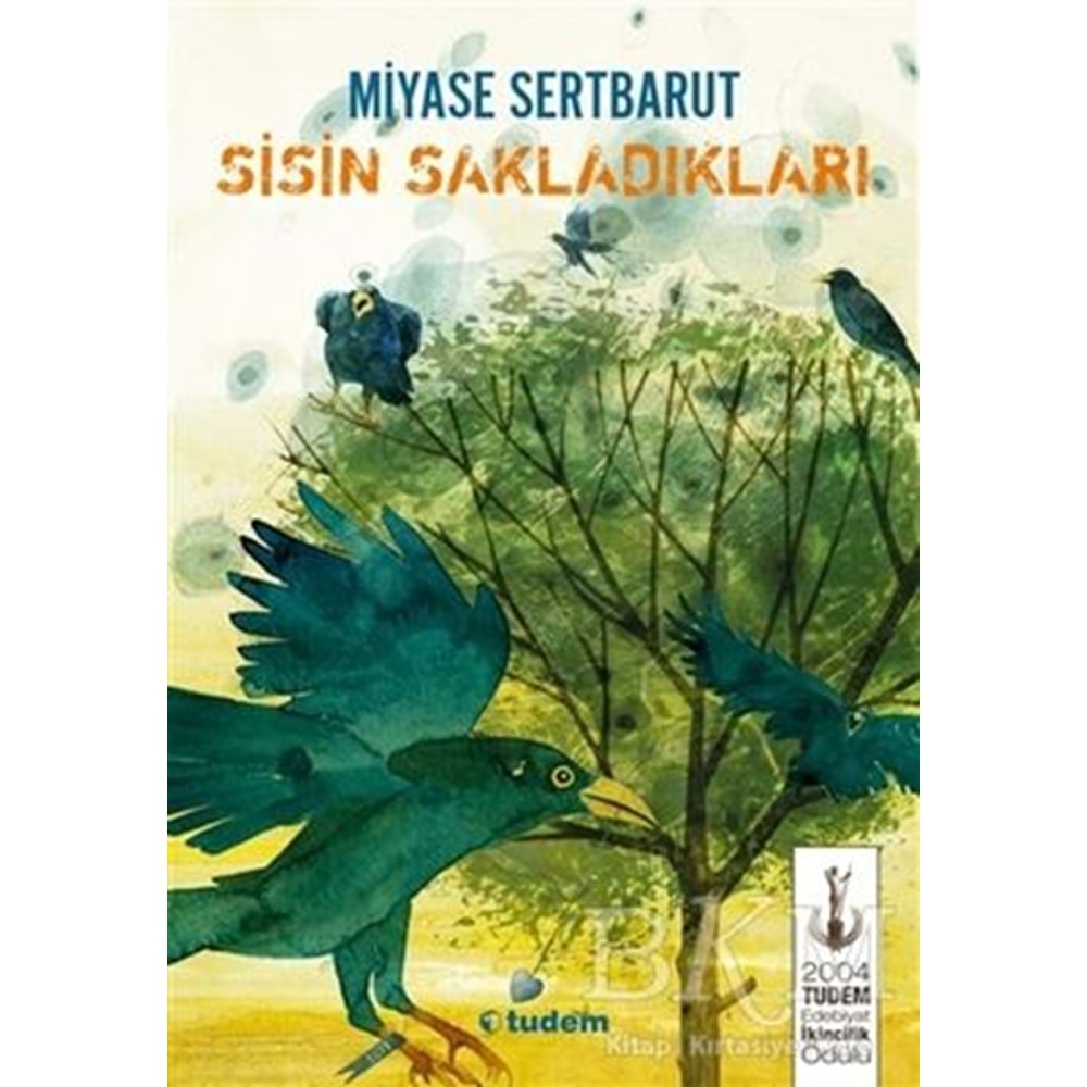 Sisin Sakladıkları - Miyase Sertbarut - TUDEM YAYINEVİ