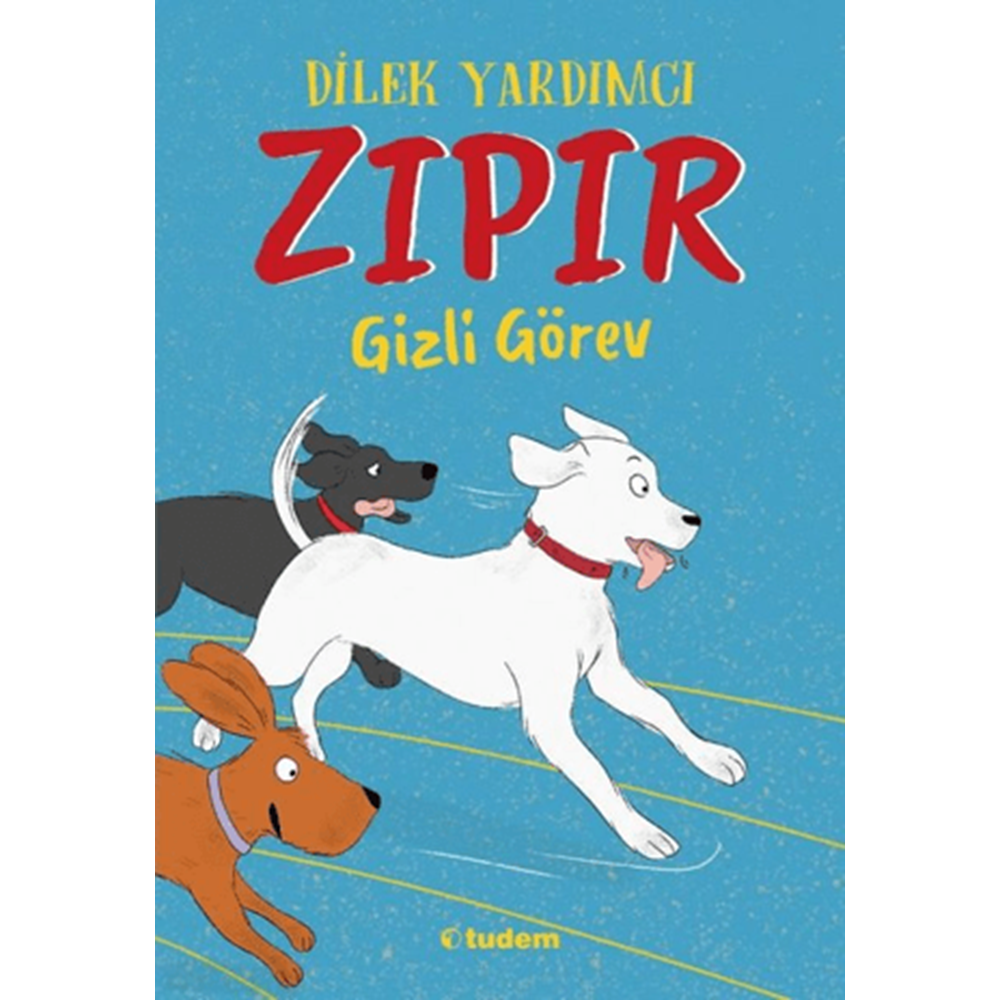 Zıpır Gizli Görev - Dilek Yardımcı -Tudem Yayınları
