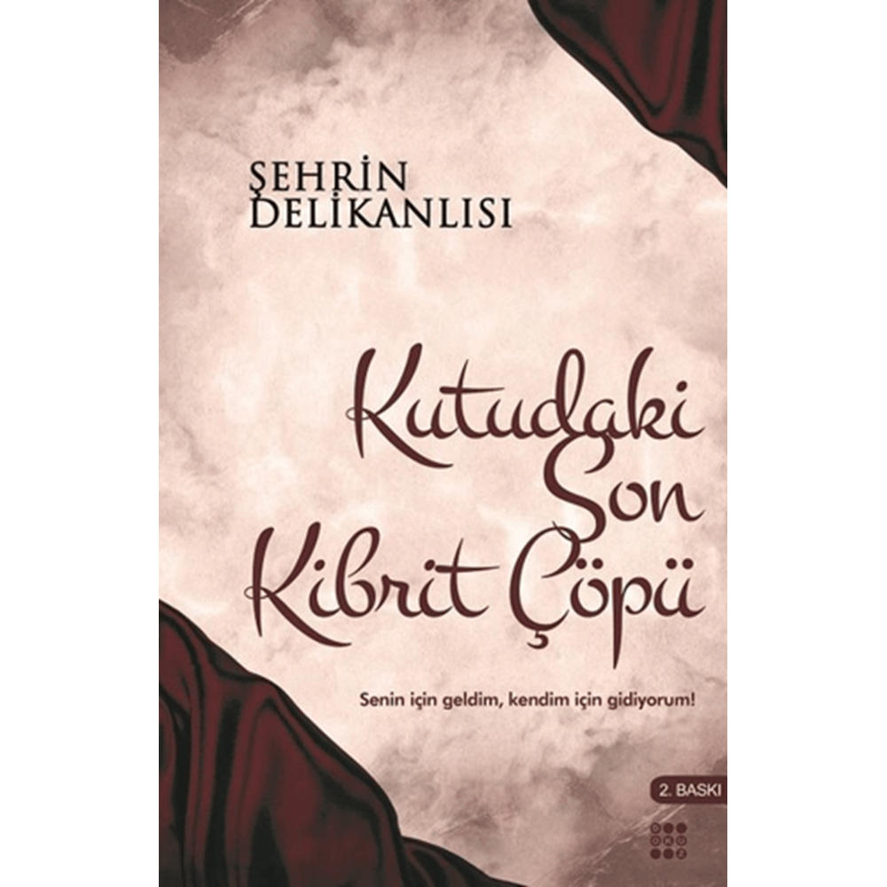 Kutudaki Son Kibrit Çöpü - Şehrin Delikanlısı - Dokuz Yayınları