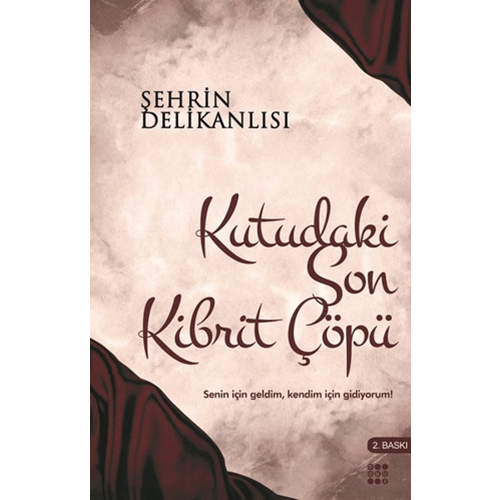 Kutudaki Son Kibrit Çöpü - Şehrin Delikanlısı - Dokuz Yayınları