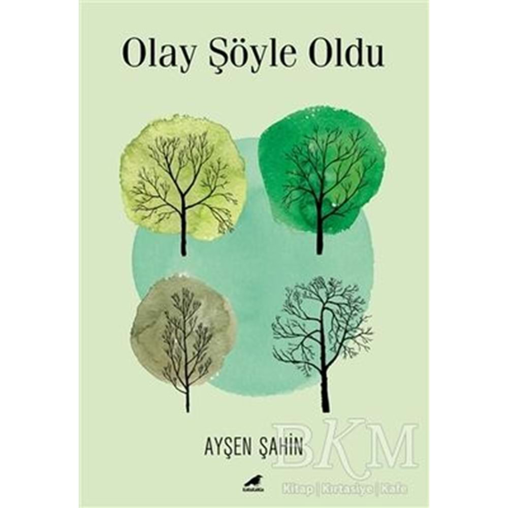 Olay Şöyle Oldu - Ayşen Şahin - Kara Karga Yayınları
