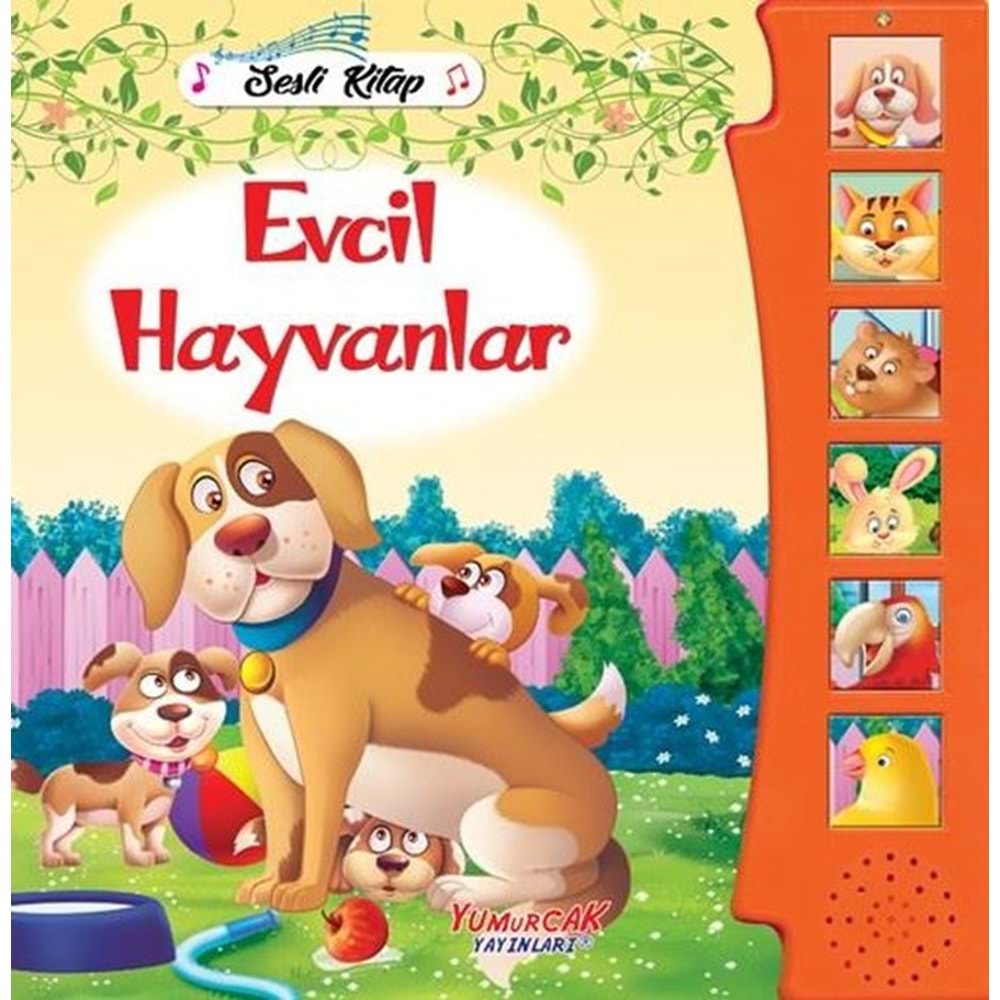 Evcil Hayvanlar - Sesli Kitap - Kolektif - Yumurcak Yayınları