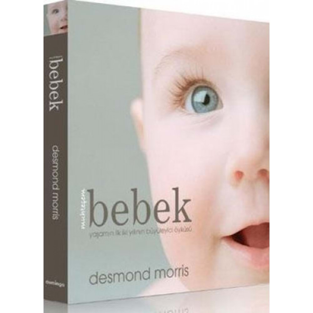 Muhteşem Bebek (Ciltli) - Desmond Morris - domingo Yayınevi