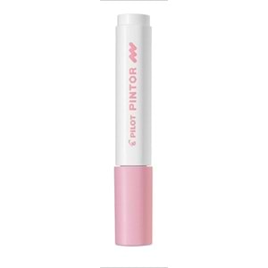 Pilot Pintor Marker Kalem Pastel Pembe