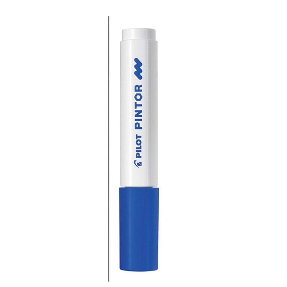Pilot Pintor Marker Kalem Mavi