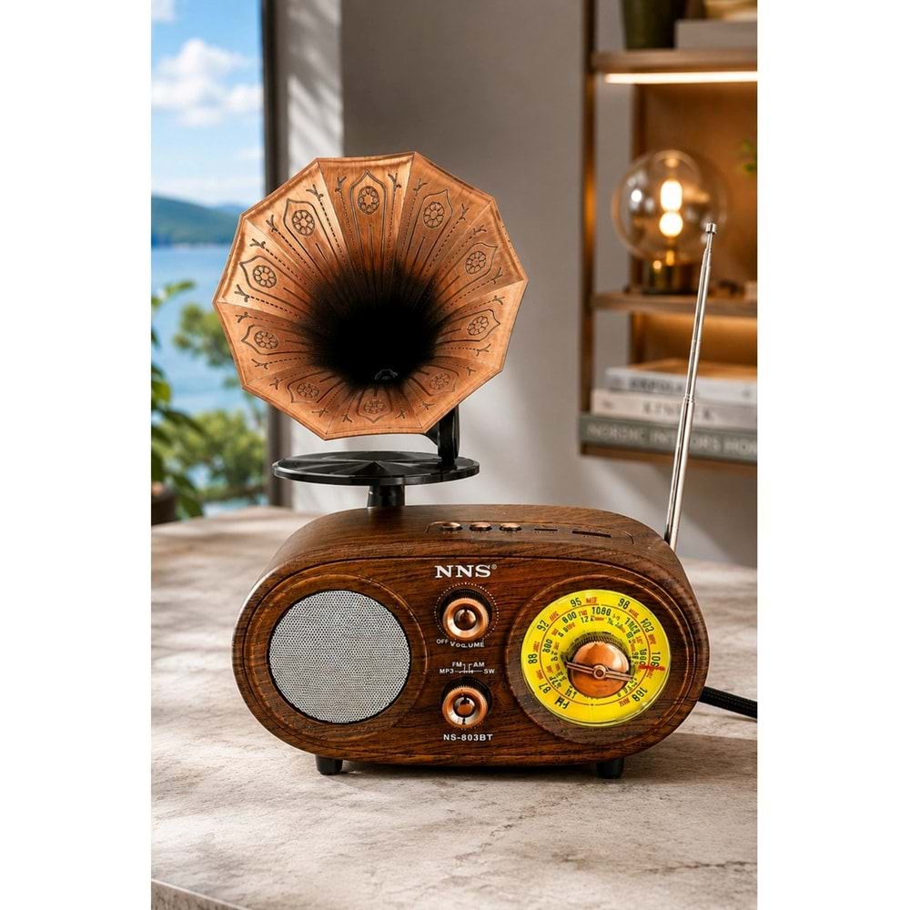 Kahverengi Retro Radyo Bluetooth Hoparlör USB TF Kart Şarjlı Nostaljik Radyo NNS NS-803BT